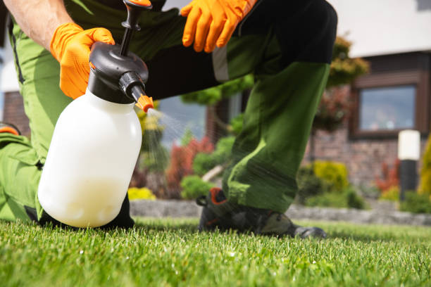 Best Commercial Pest Control Services  in Pine City, MN