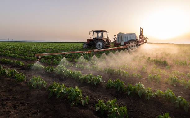 Best Mosquito Control Services  in Pine City, MN