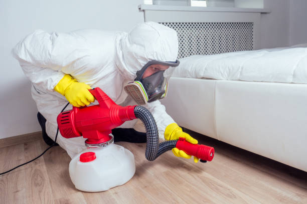 Best Affordable Pest Control Services  in Pine City, MN