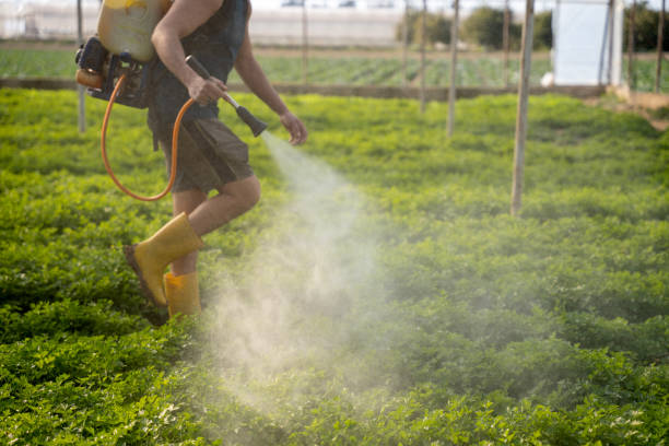 Best Pest Control Cost  in Pine City, MN