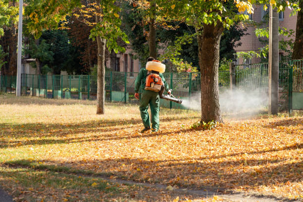 Best Bird Control  in Pine City, MN